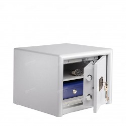 Burg Wächter Dual-Safe DS 425